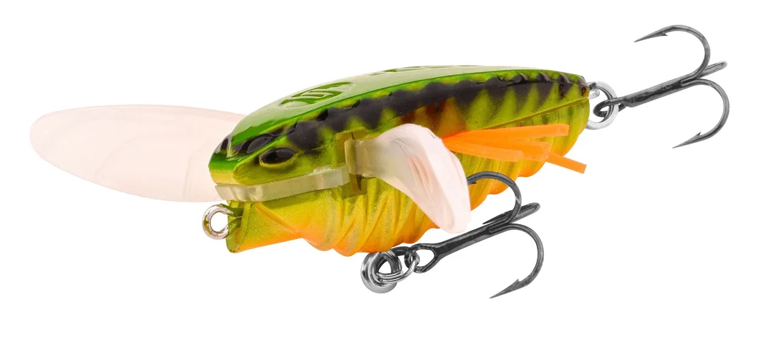 jkfisher1351375