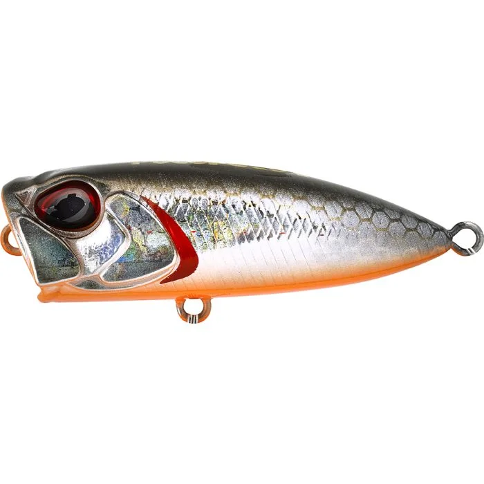 jkfisher1357374