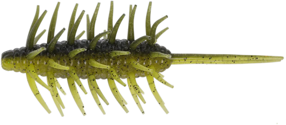 jkfisher1364067