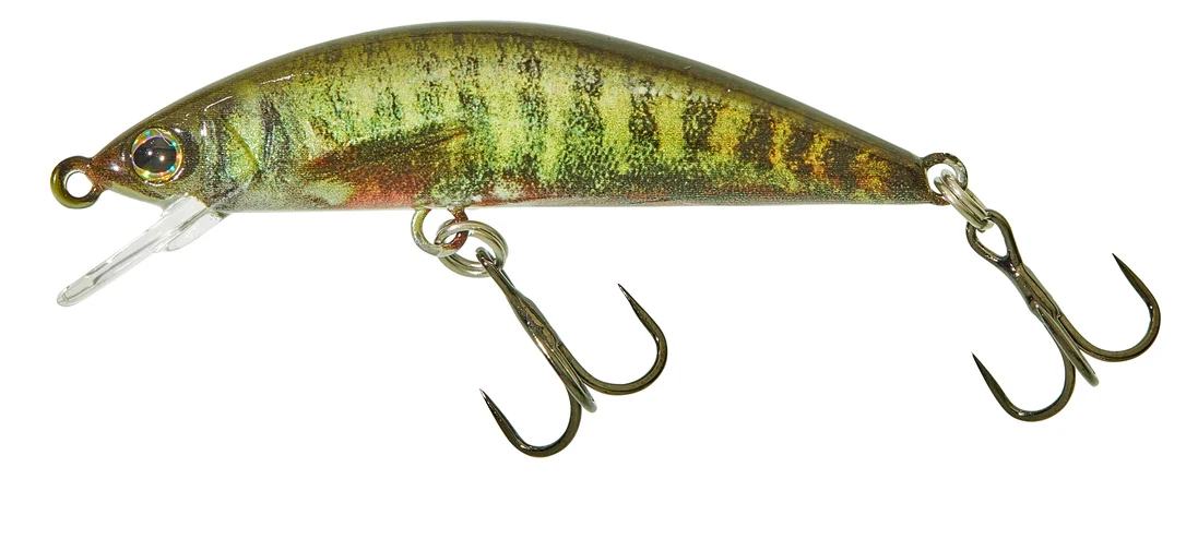 jkfisher1367005