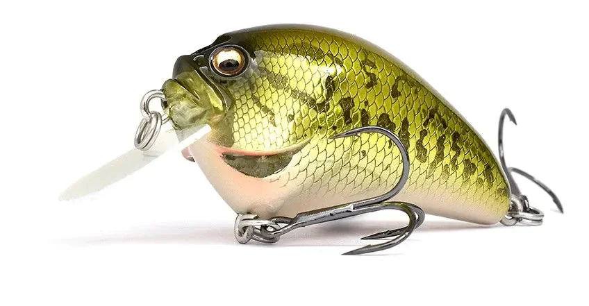 jkfisher1369067