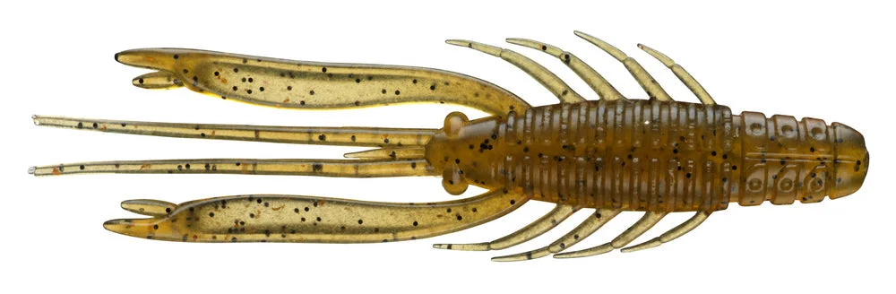 jkfisher1369962