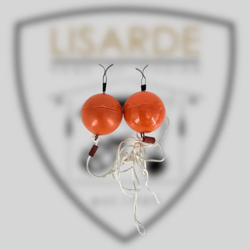 lisarde-1843242
