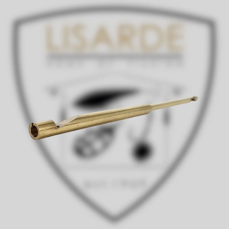 lisarde-1843263