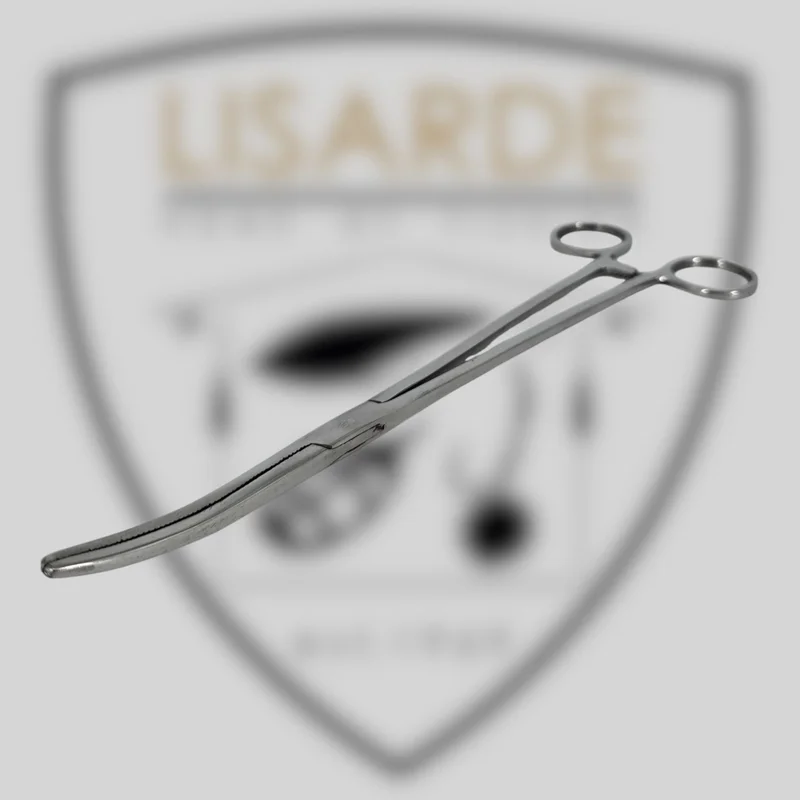 lisarde-1843404