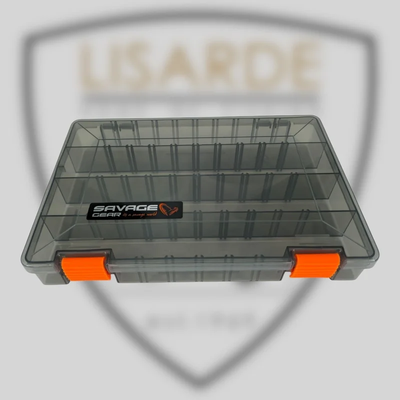 lisarde-1872573