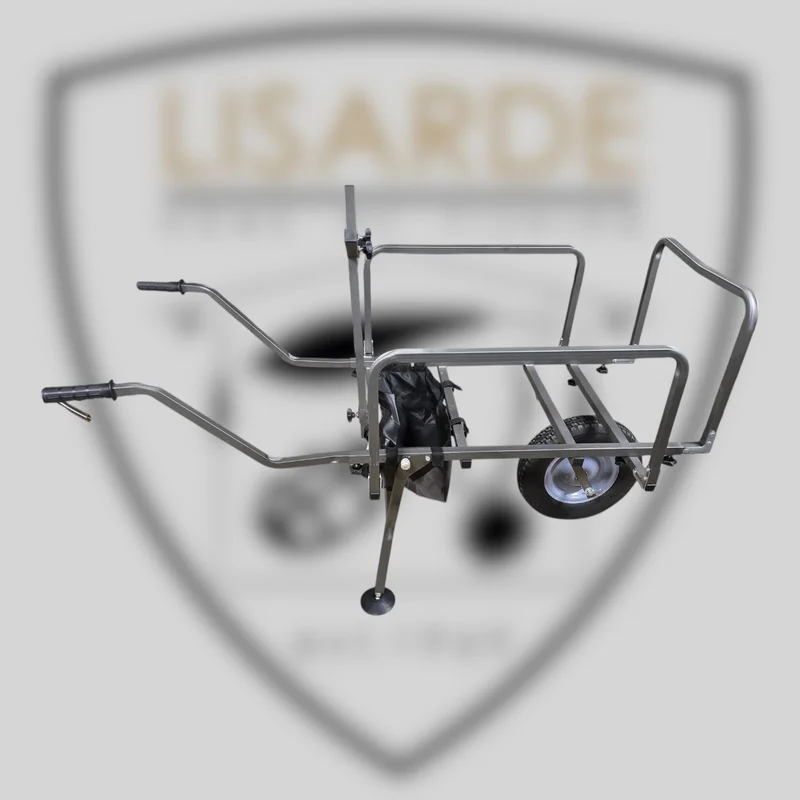 lisarde-1873958