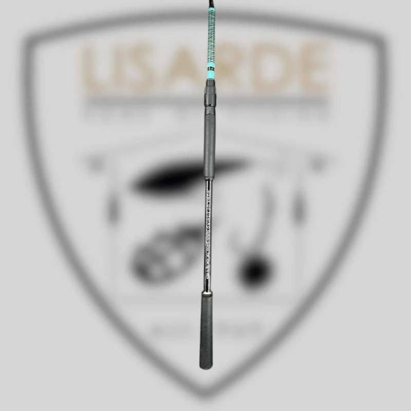 lisarde-1880902