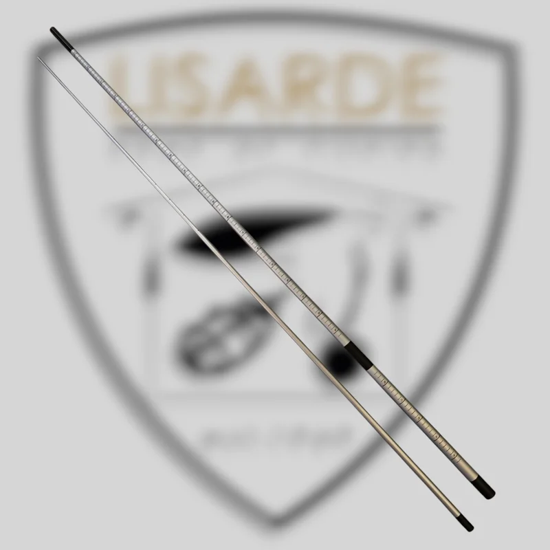 lisarde-1890896