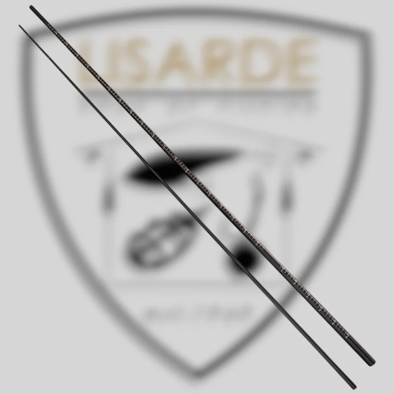 lisarde-1890966