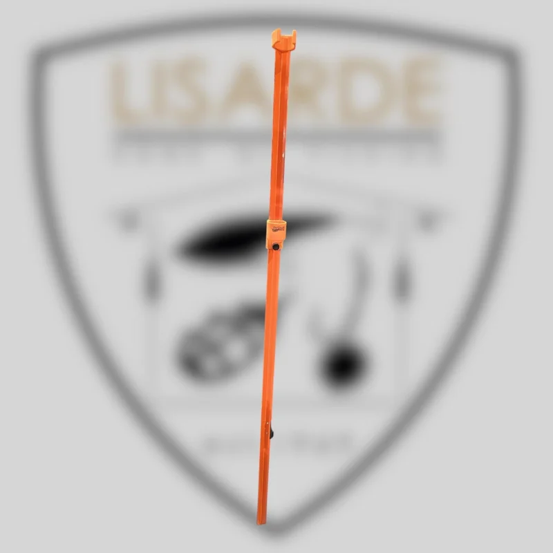 lisarde-1897977