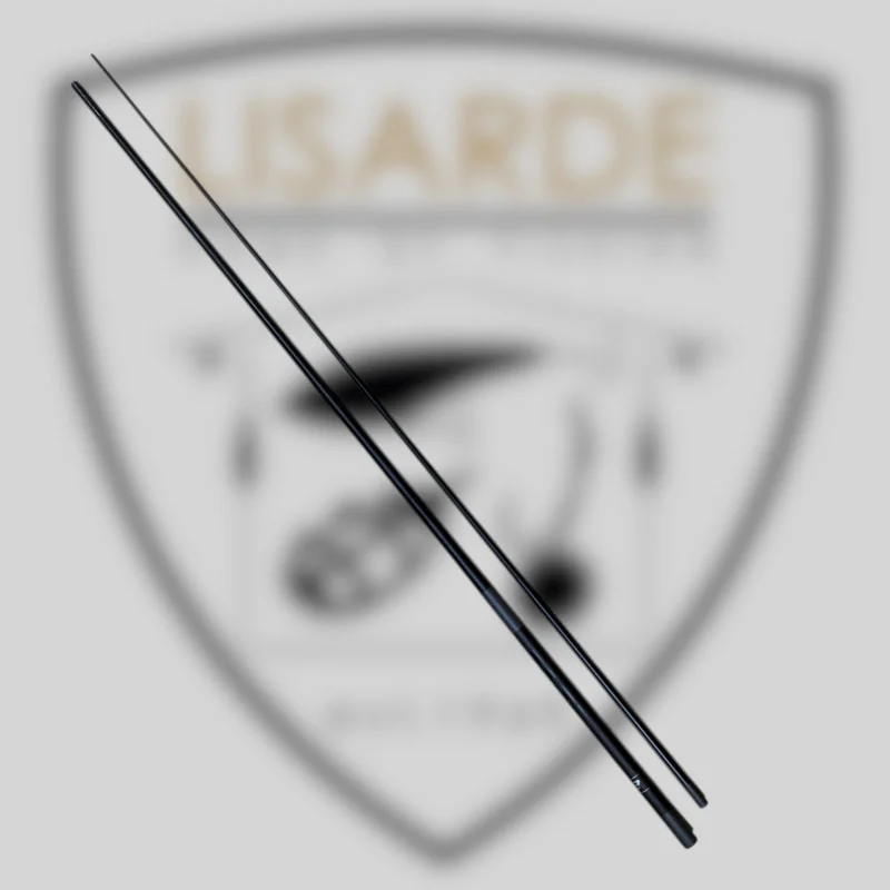 lisarde-1912783