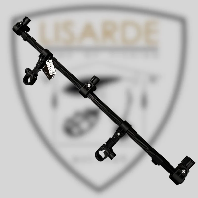 lisarde-1918888