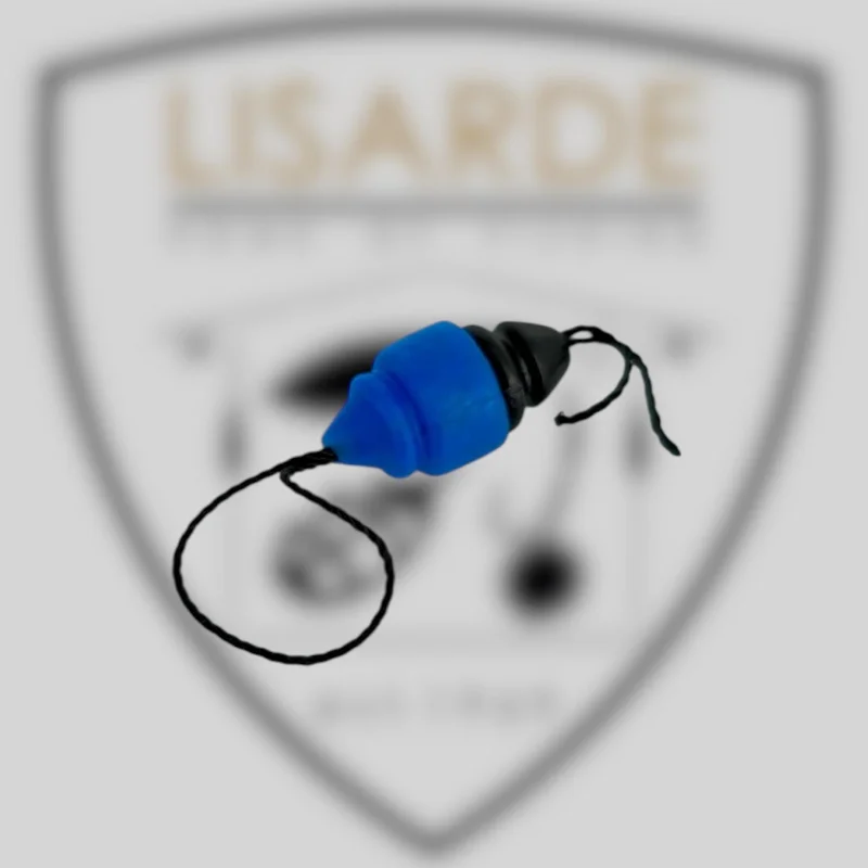 lisarde-1930836