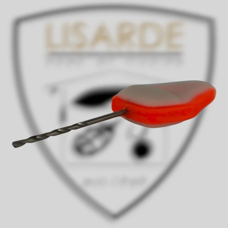 lisarde-1930898