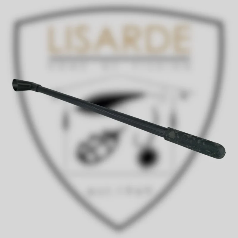 lisarde-1931877