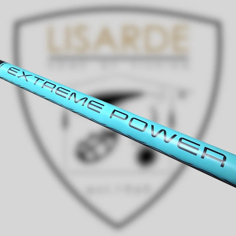 lisarde-1932364