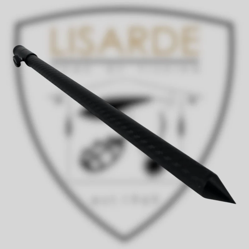 lisarde-1934505