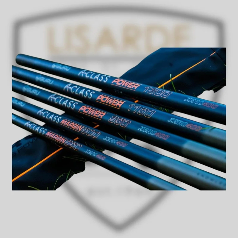 lisarde-1994004