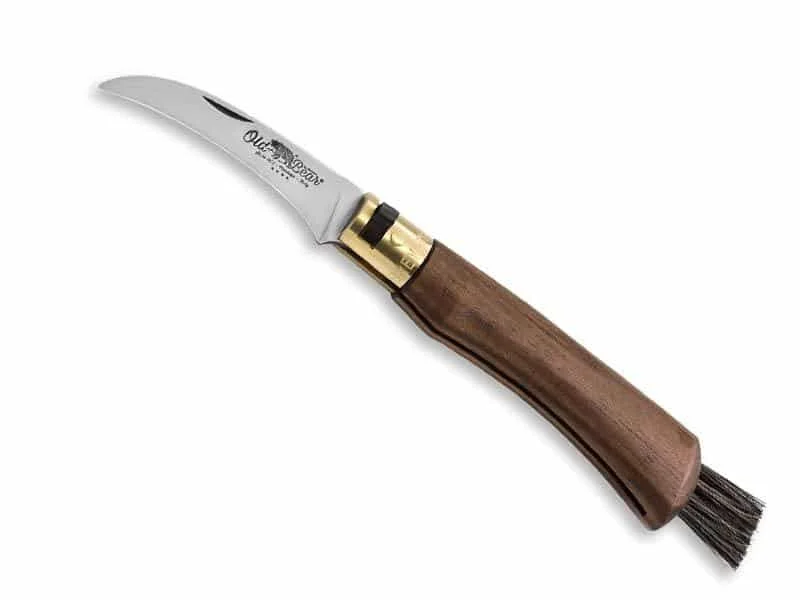 loisirsnature-1859520