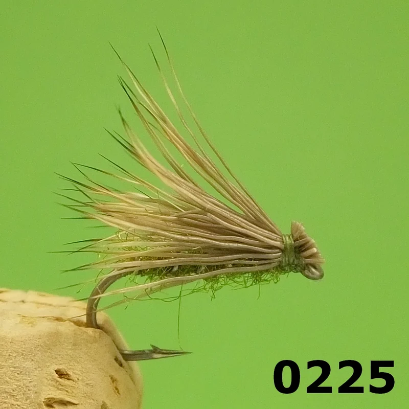 moucheshop-1864947