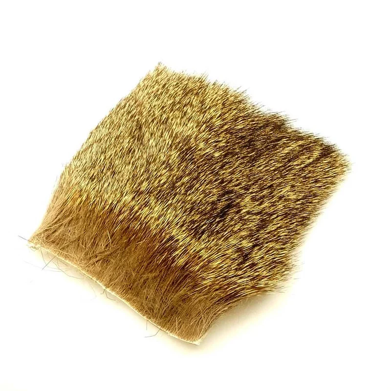 moucheshop-1880978