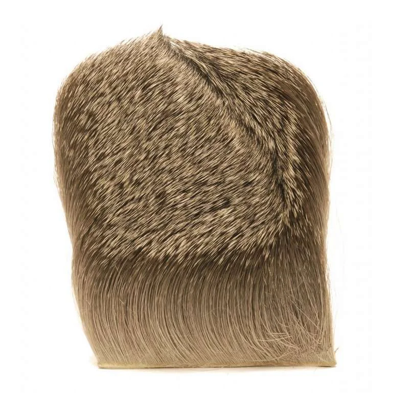 moucheshop-1881046