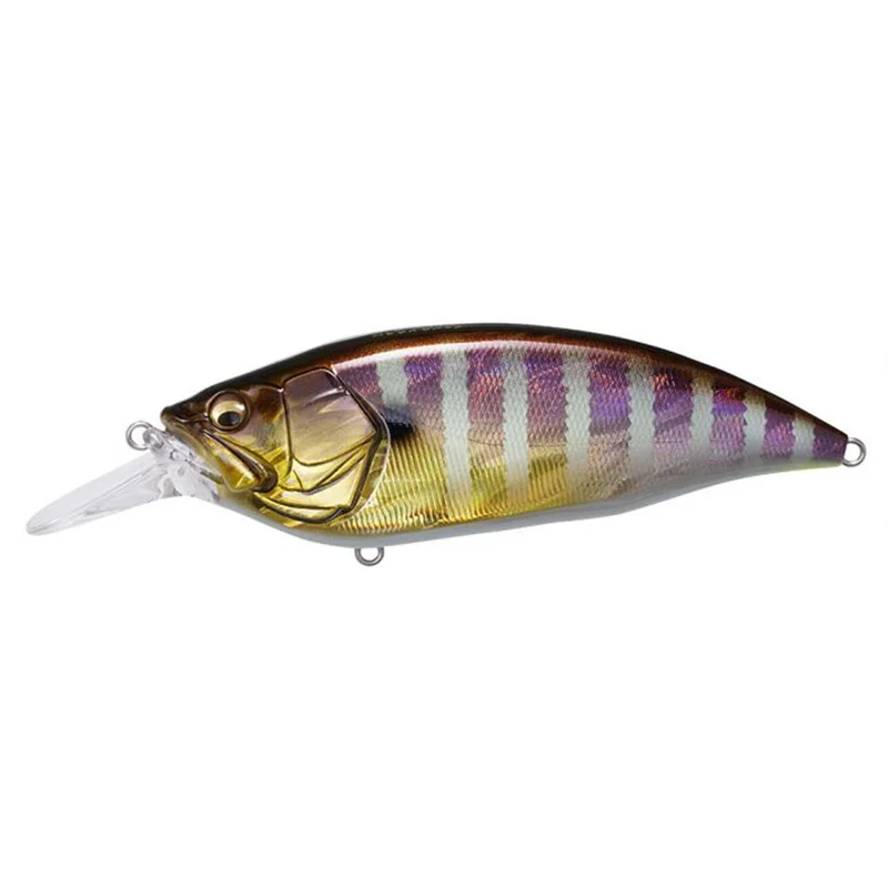 pacificpeche-1849331