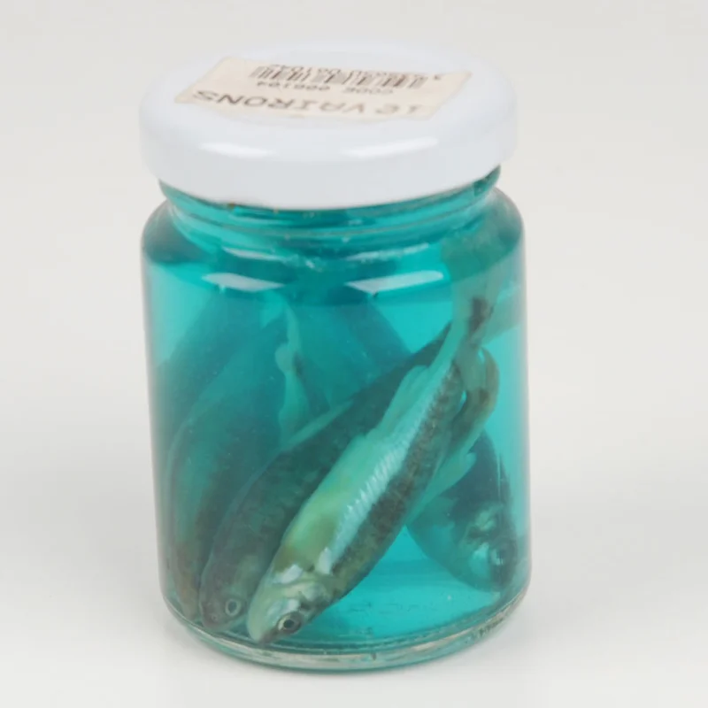pacificpeche-1865697