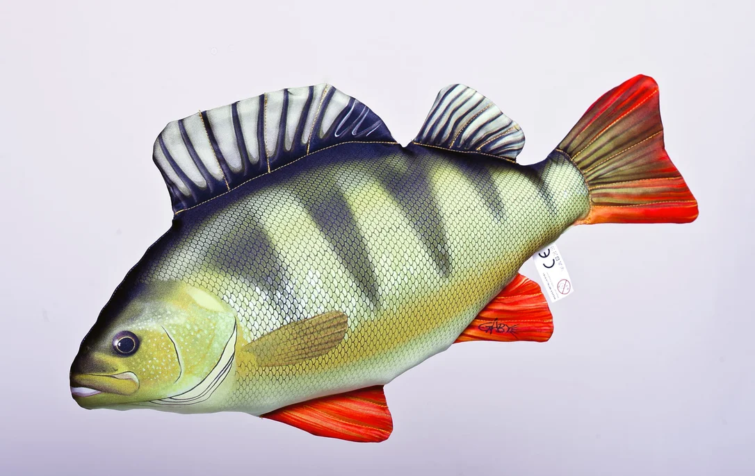 pacificpeche-1868859