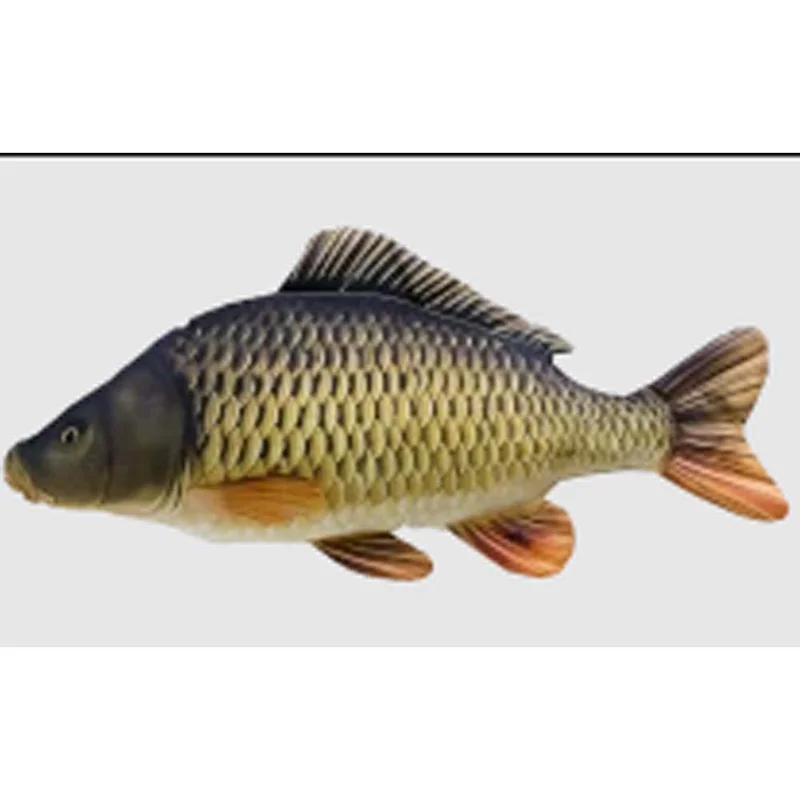 pacificpeche-1868861