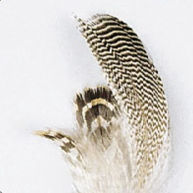 pacificpeche-1888124