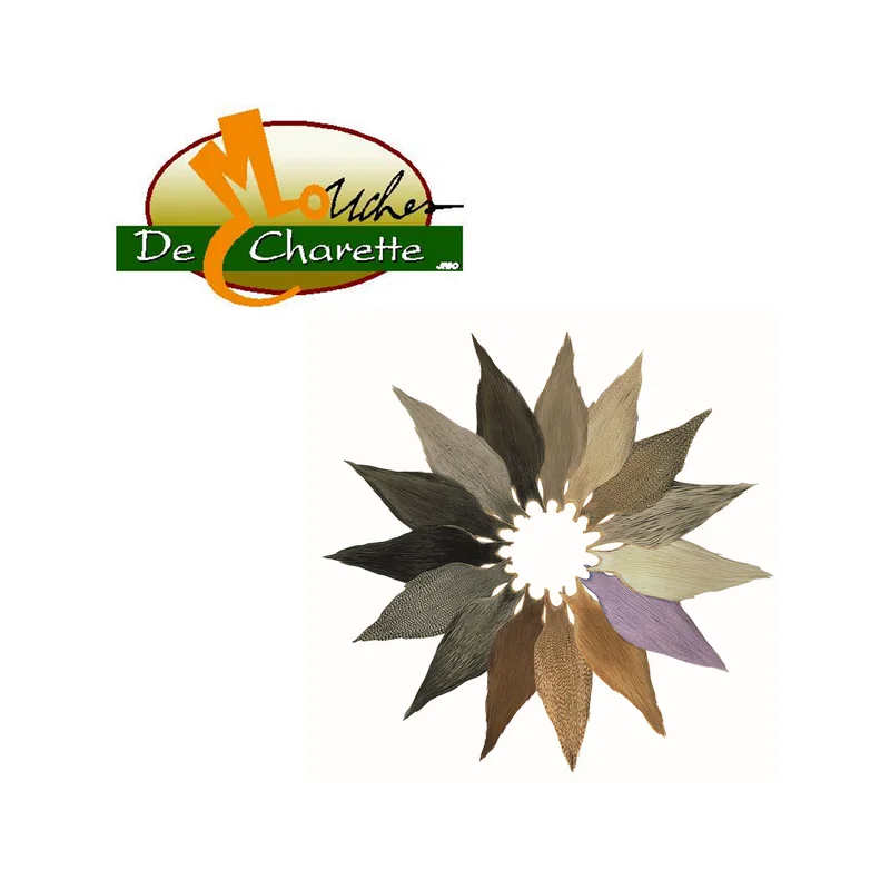 pechechassediscount1-1887231