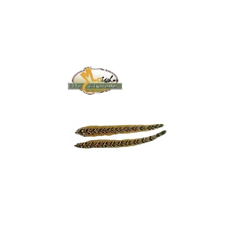 pechechassediscount1-1893285