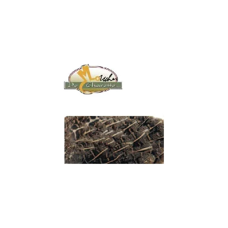 pechechassediscount1-1893299