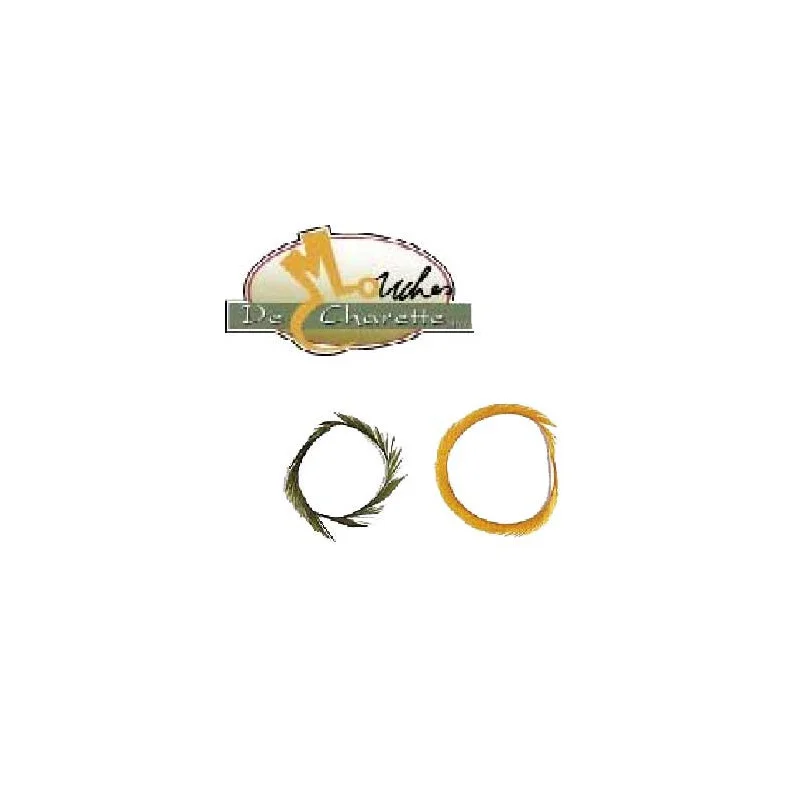 pechechassediscount1-1894366