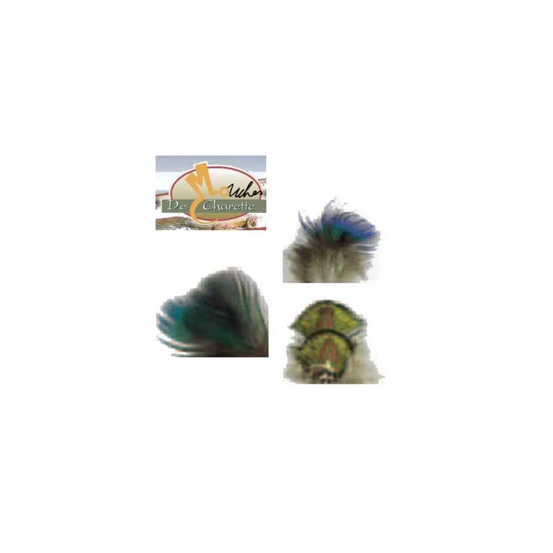 pechechassediscount1-1901193