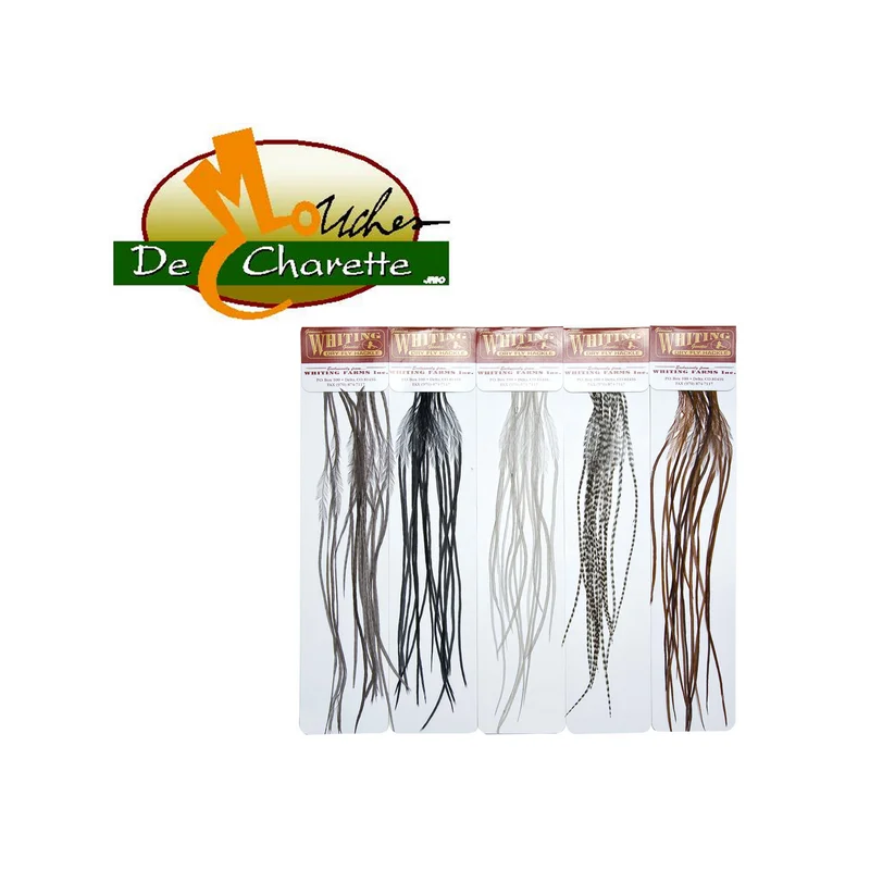 pechechassediscount1-1901207