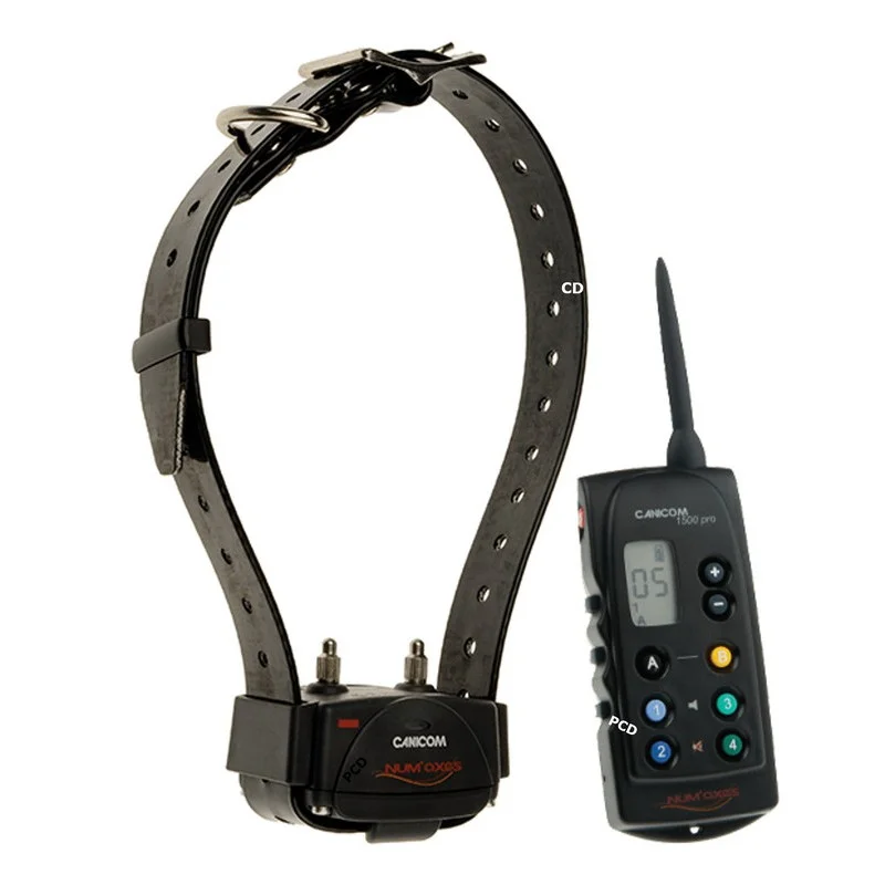 pechechassediscount1-1911606