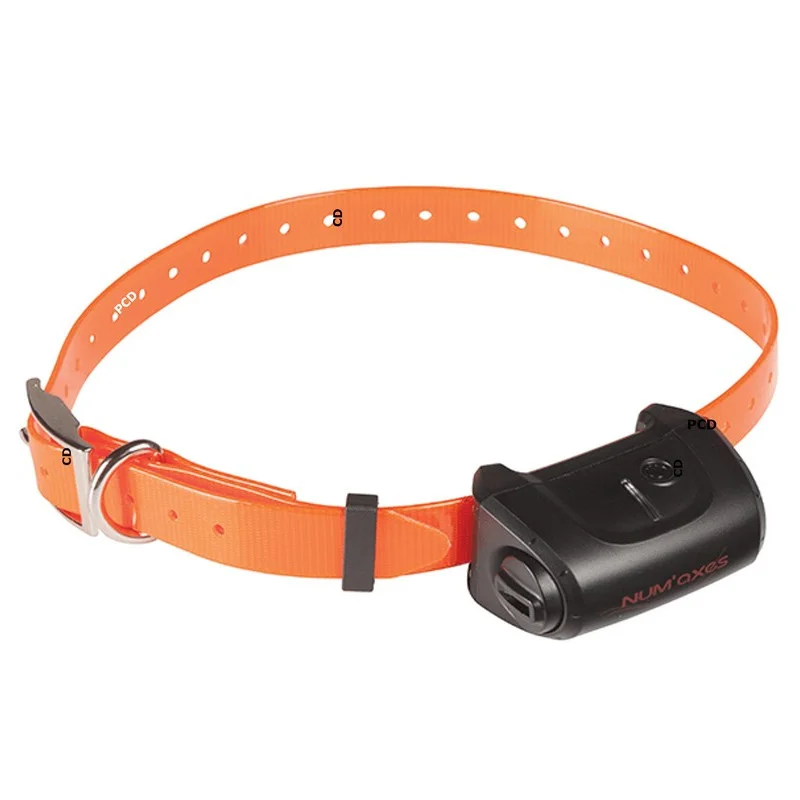 pechechassediscount1-1920505