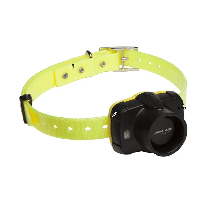 pechechassediscount1-1920529