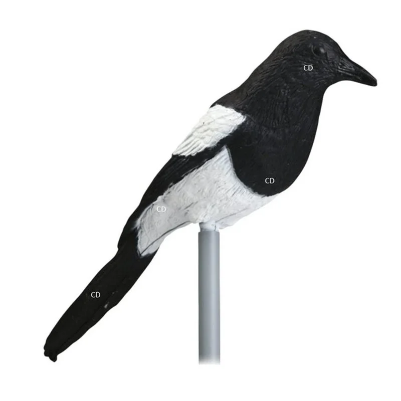 pechechassediscount2-1865703