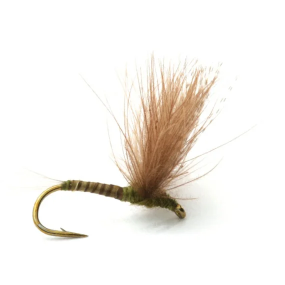 sportfishtackle-2032526