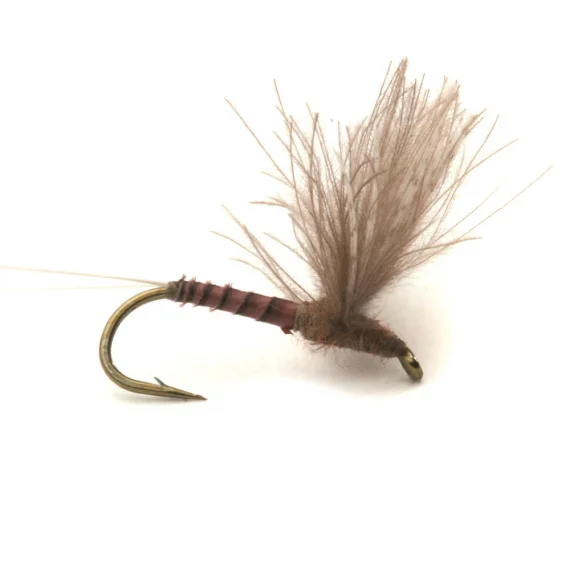 sportfishtackle-2032532