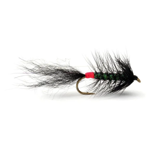 sportfishtackle-2032562