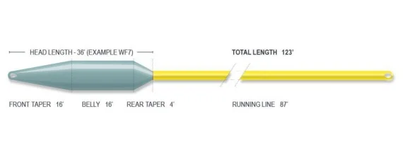 sportfishtackle-2035721