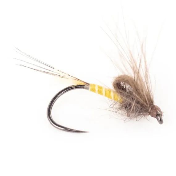 sportfishtackle-2037787