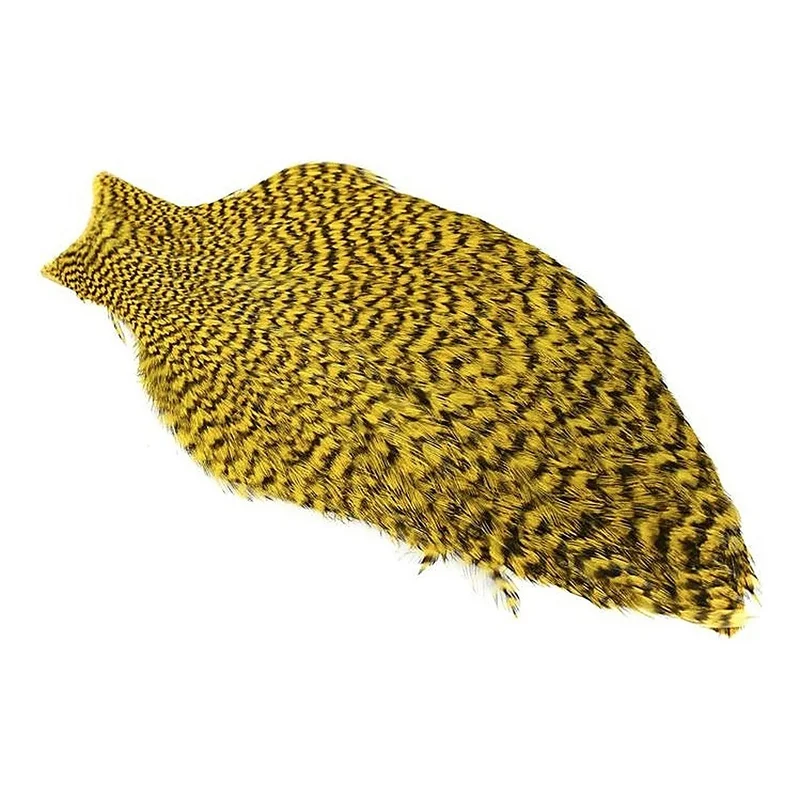 sportfishtackle-2048861