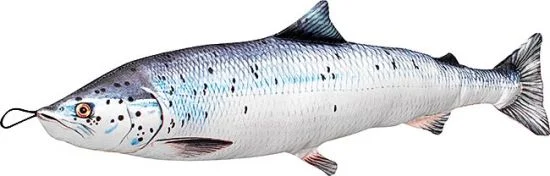 sportfishtackle-2052538