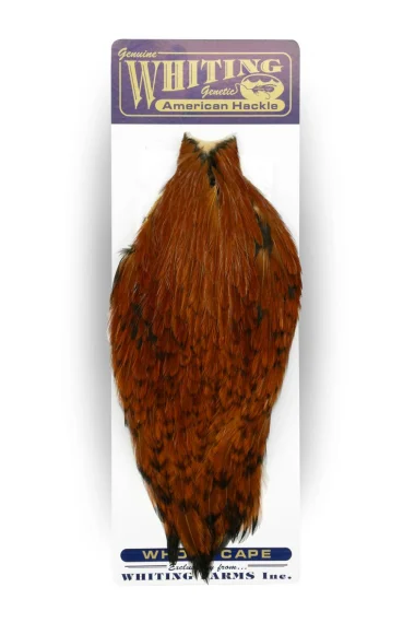 sportfishtackle-2052894